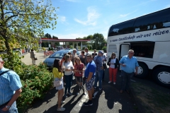 In netter Gesellschaft reisen